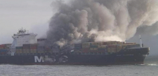 image019.gif
